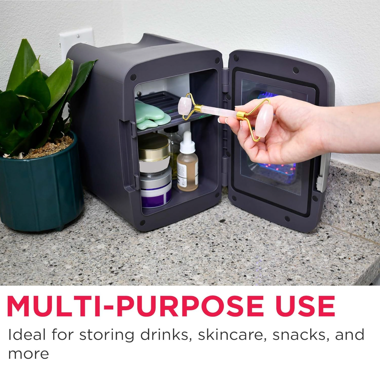 Mini Beverage Refrigerator