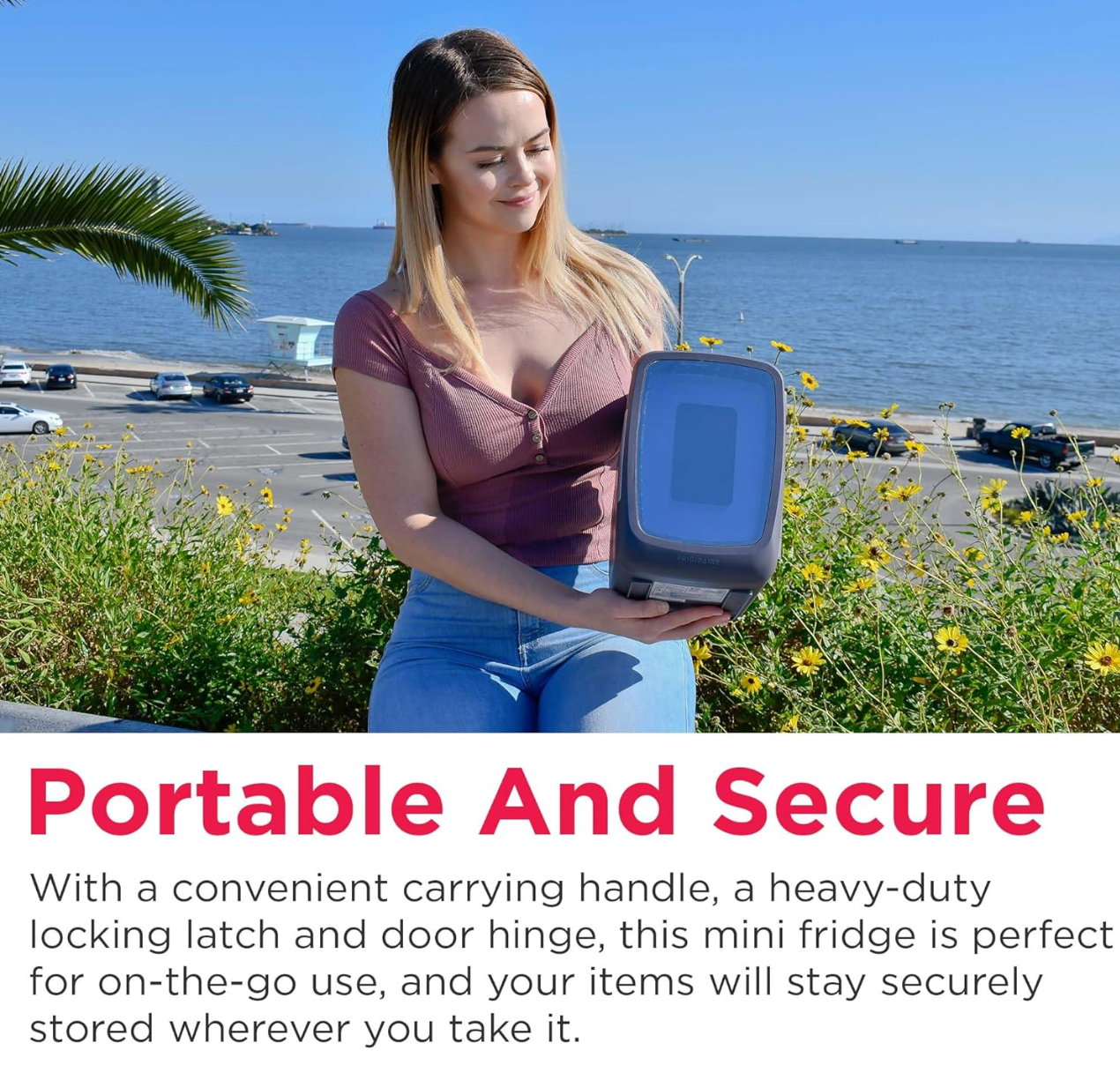 Mini Beverage Refrigerator